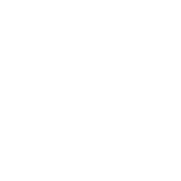 End-to-End
Execution