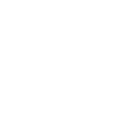 Transparent 
Pricings & Timelines