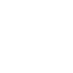 Professional
Design Expertise