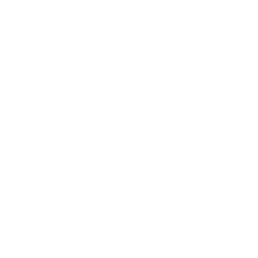 Transparent 
Pricings & Timelines